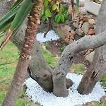 Bilocale Con Giardino, 2 Minuti Dal Mare Διαμέρισμα *
