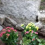 Bilocale Con Giardino, 2 Minuti Dal Mare Διαμέρισμα Palau