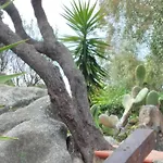 Bilocale Con Giardino, 2 Minuti Dal Mare Palau
