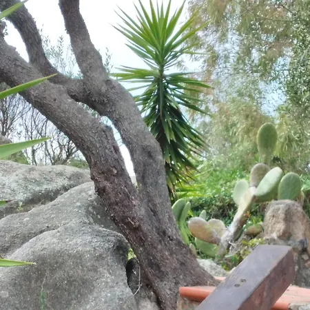 Bilocale Con Giardino, 2 Minuti Dal Mare Palau