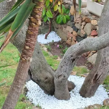 Bilocale Con Giardino, 2 Minuti Dal Mare Appartement *