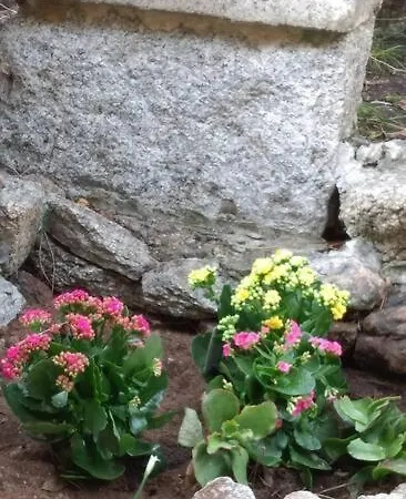 Bilocale Con Giardino, 2 Minuti Dal Mare Apartamento Palau